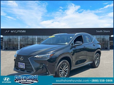 2024 Lexus NX 350 Premium
